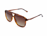 The Noosa Tortoise