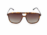 The Noosa Tortoise
